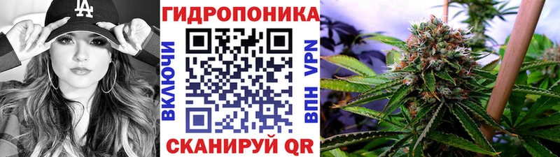 где купить наркоту  Нелидово  Канабис сатива 
